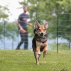 img_4381_20230516_1986334923