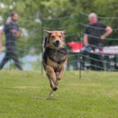 img_4382_20230516_1160863173