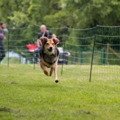 img_4383_20230516_1644569827