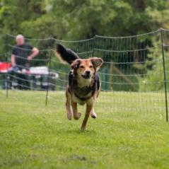 img_4384_20230516_1715889956