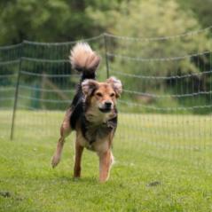 img_4385_20230516_1168103876