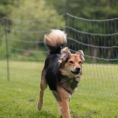 img_4386_20230516_1225526251