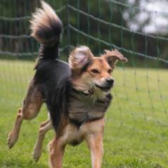 img_4387_20230516_2068724534