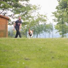 img_4392_20230516_2028348748