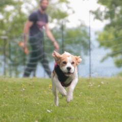 img_4394_20230516_1275648252