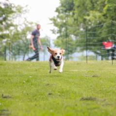 img_4395_20230516_1792313594