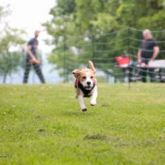 img_4396_20230516_1280756235