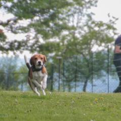 img_4407_20230516_1698747089