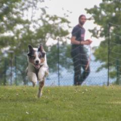 img_4425_20230516_1774561549