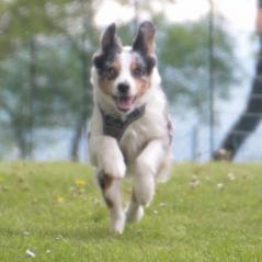 img_4426_20230516_1628729388