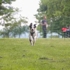 img_4427_20230516_1096838030