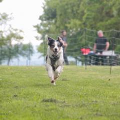 img_4428_20230516_2054412371