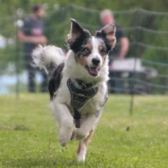 img_4429_20230516_1070666817