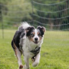 img_4431_20230516_1067039231