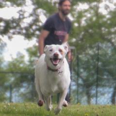 img_4441_20230516_1045541758
