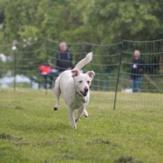 img_4442_20230516_1022748667