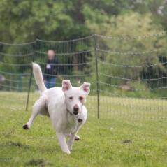 img_4443_20230516_1487817413