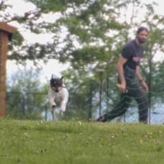 img_4452_20230516_1147031328