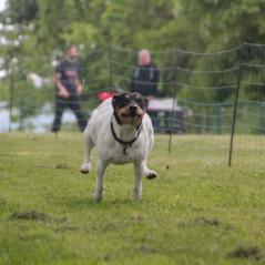 img_4454_20230516_1844512748