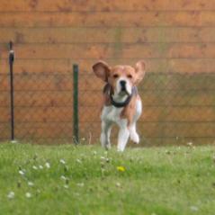img_4459_20230516_1236959076