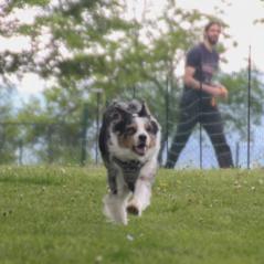 img_4475_20230516_1629360118