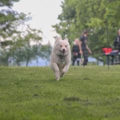 img_4489_20230516_1513527123