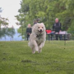img_4490_20230516_1623654022