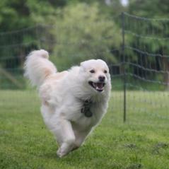 img_4491_20230516_2010561754