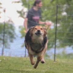 img_4499_20230516_1559308243