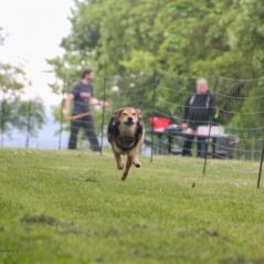 img_4500_20230516_1219650943