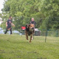 img_4501_20230516_1815922455