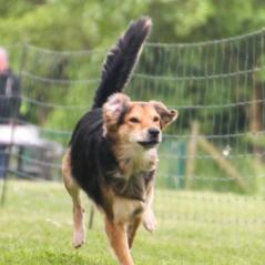 img_4502_20230516_1895796872