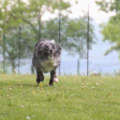 img_4511_20230516_1860238781