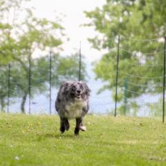 img_4512_20230516_1052945947