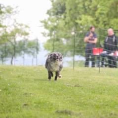 img_4513_20230516_1611952072