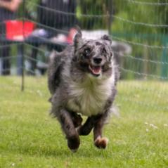 img_4515_20230516_2095468253