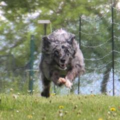 img_4526_20230516_1602162048