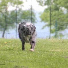 img_4528_20230516_1136394180