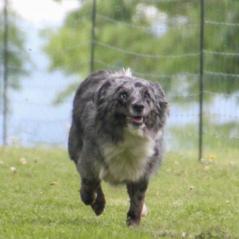 img_4529_20230516_2066746052
