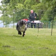 img_4530_20230516_1765487645