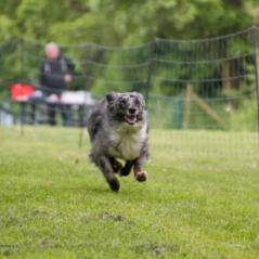 img_4531_20230516_1108971306