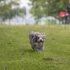 img_4541_20230516_1983043983