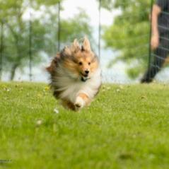 img_4556_20230516_1742336474