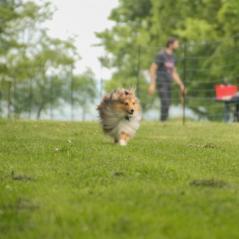 img_4557_20230516_1655065794