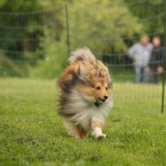 img_4561_20230516_1641465296