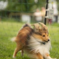 img_4563_20230516_1182744057