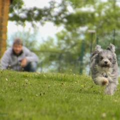 img_4566_20230516_1081969861