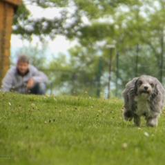 img_4567_20230516_1932370384