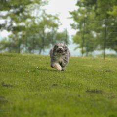 img_4568_20230516_1052682738