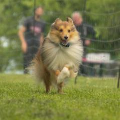 img_4585_20230516_1583443068